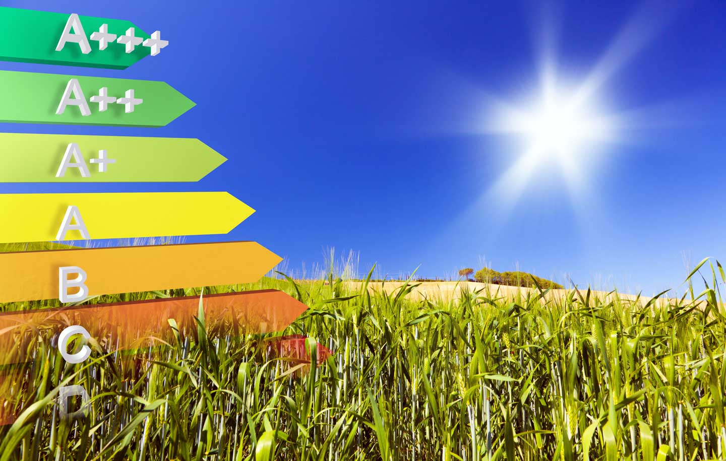 Specialisti dell'efficienza energetica